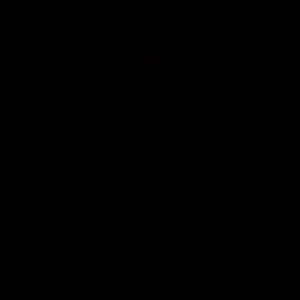 Meet your Posher, lovie dovie